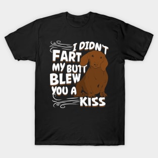 Funny Dachshund Dog Lover Gift T-Shirt